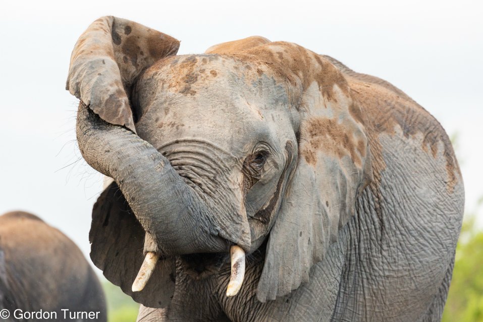 <h2>The Best of South Africa Escorted 2023</h2> 14 Nights | 6 Rounds | March 11 - 25